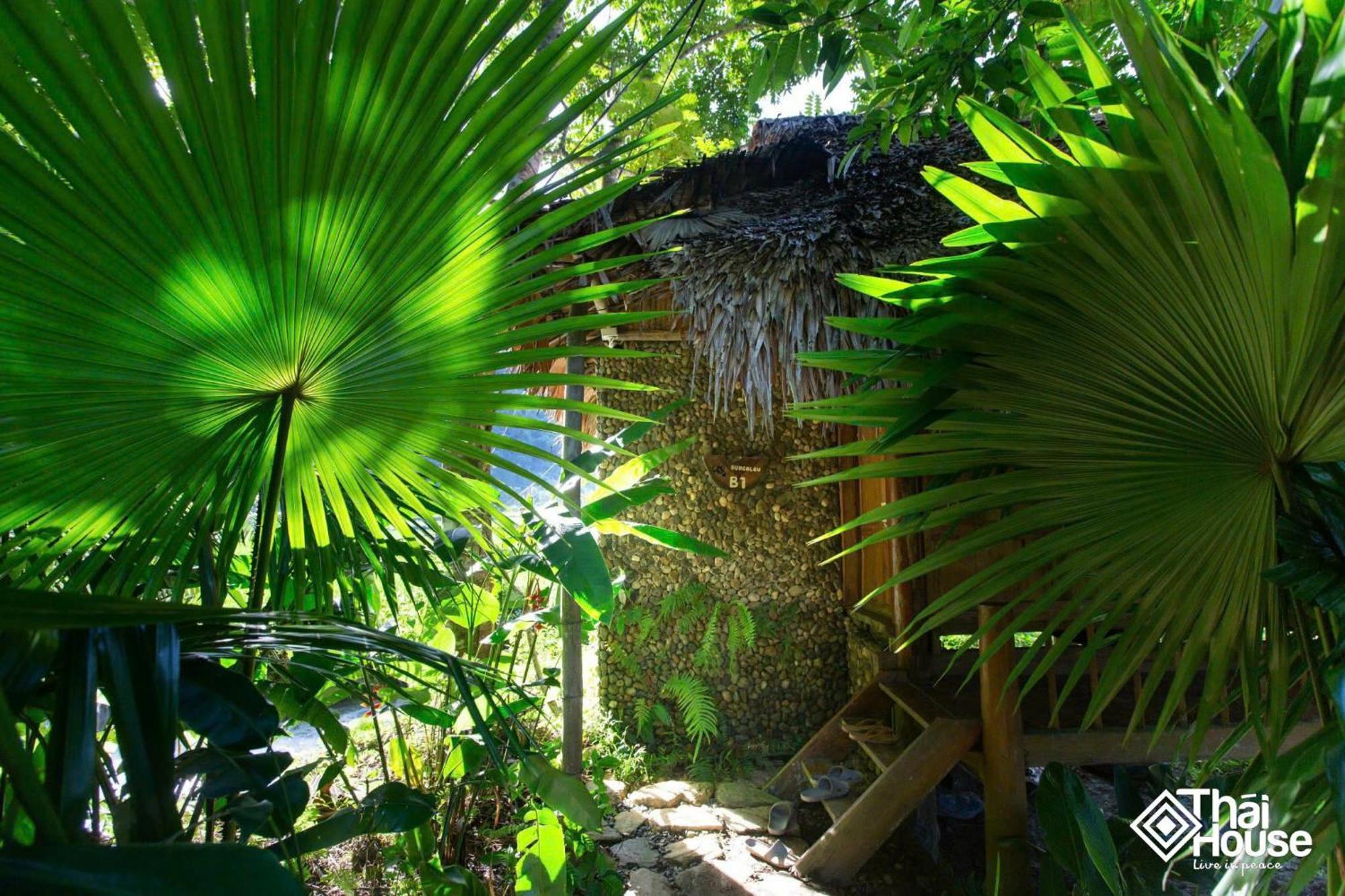 Thai House Pu Luong - Century Old Stilt House With Terrace Views Huong Ba Thuoc エクステリア 写真